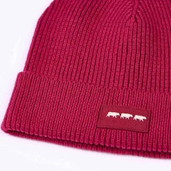 Homme Mise Au Green Bonnet en tricot