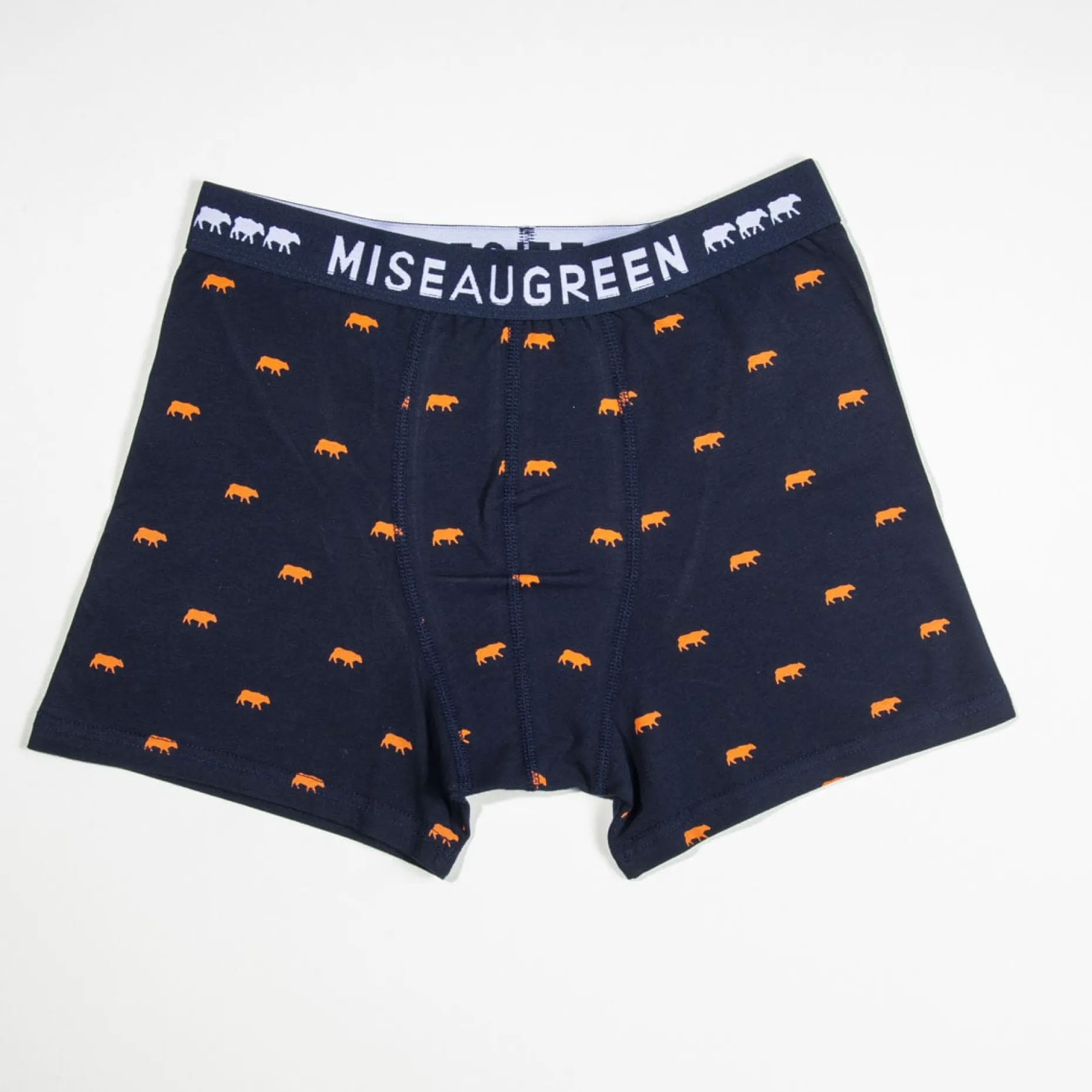 Homme Mise Au Green Boxer Adriel