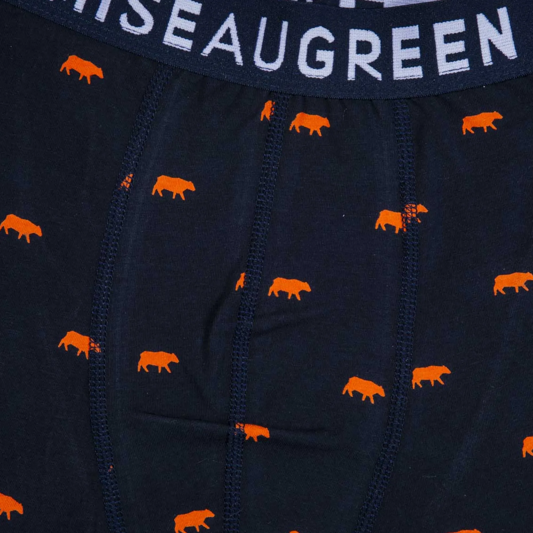 Homme Mise Au Green Boxer Adriel