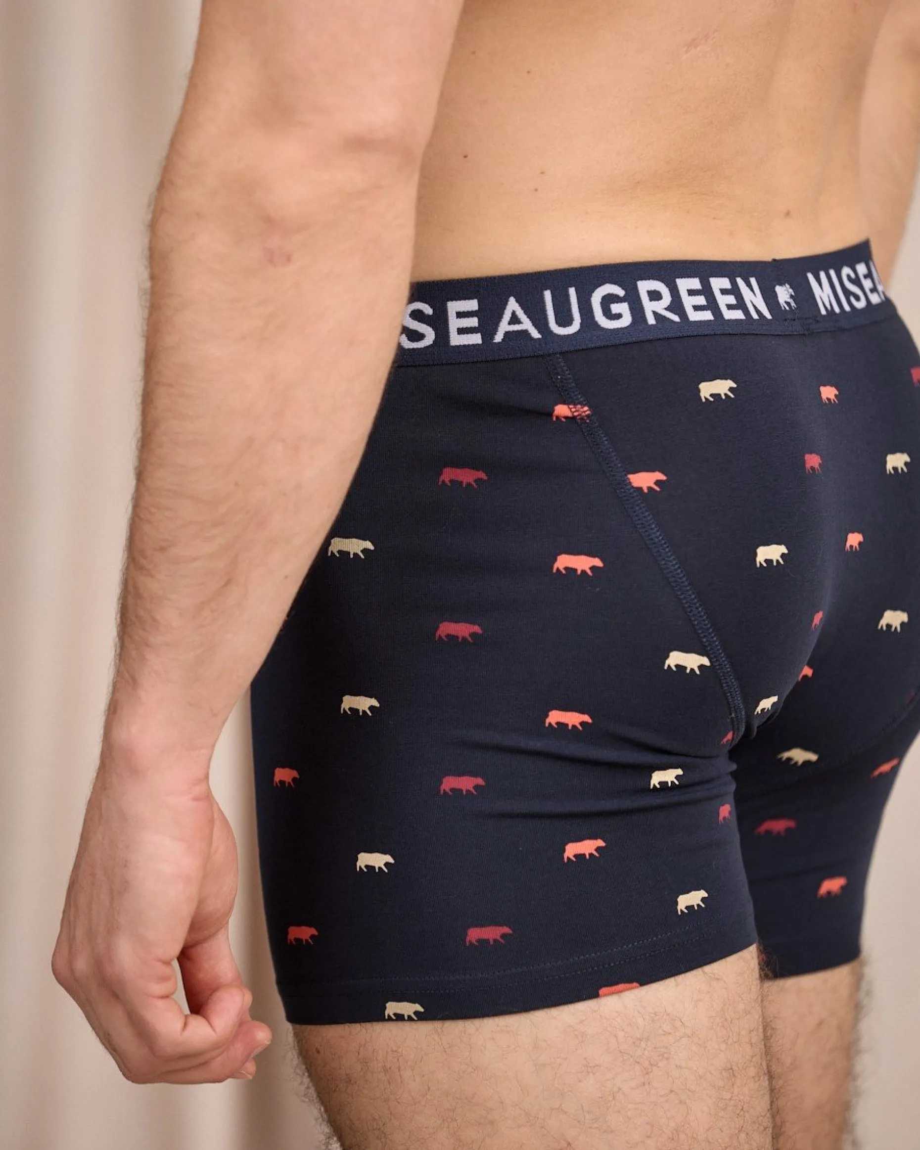 Homme Mise Au Green Boxer Adriel