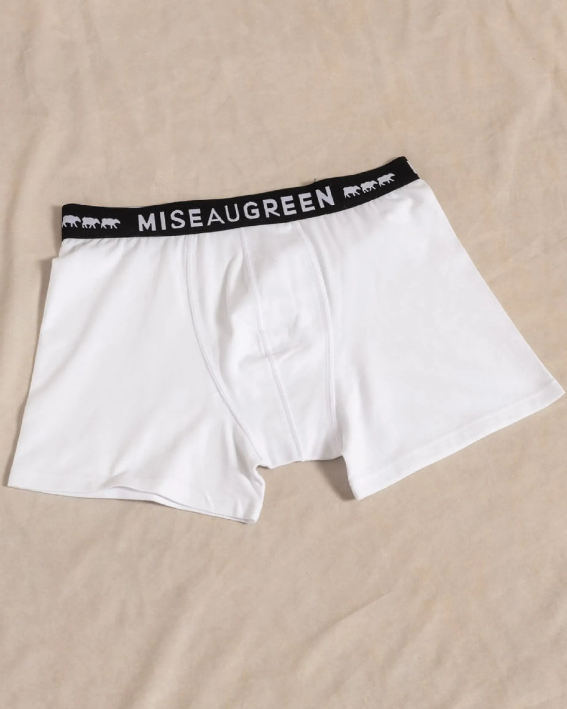 Homme Mise Au Green Boxer Adrien