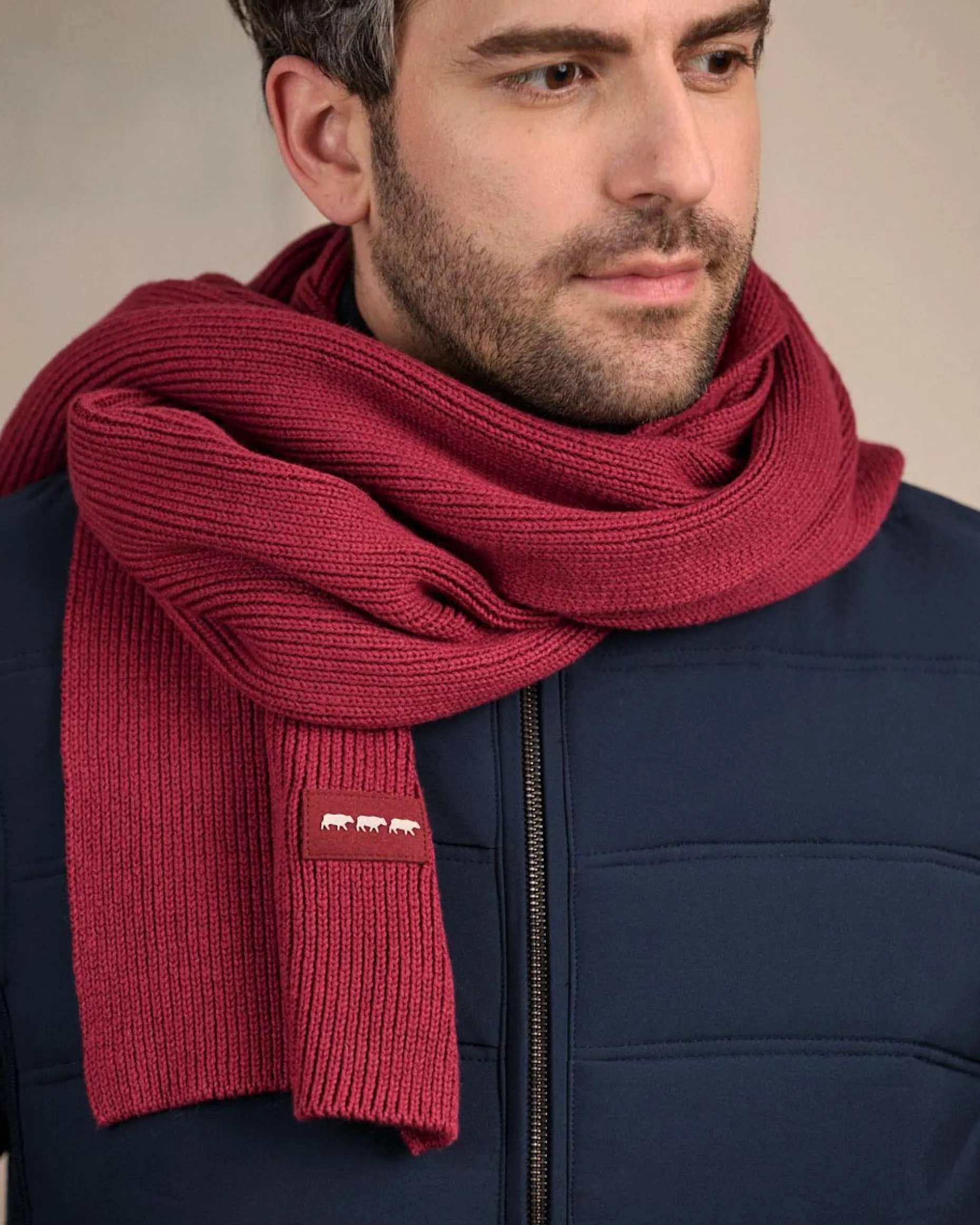 Homme Mise Au Green Écharpe unie en tricot