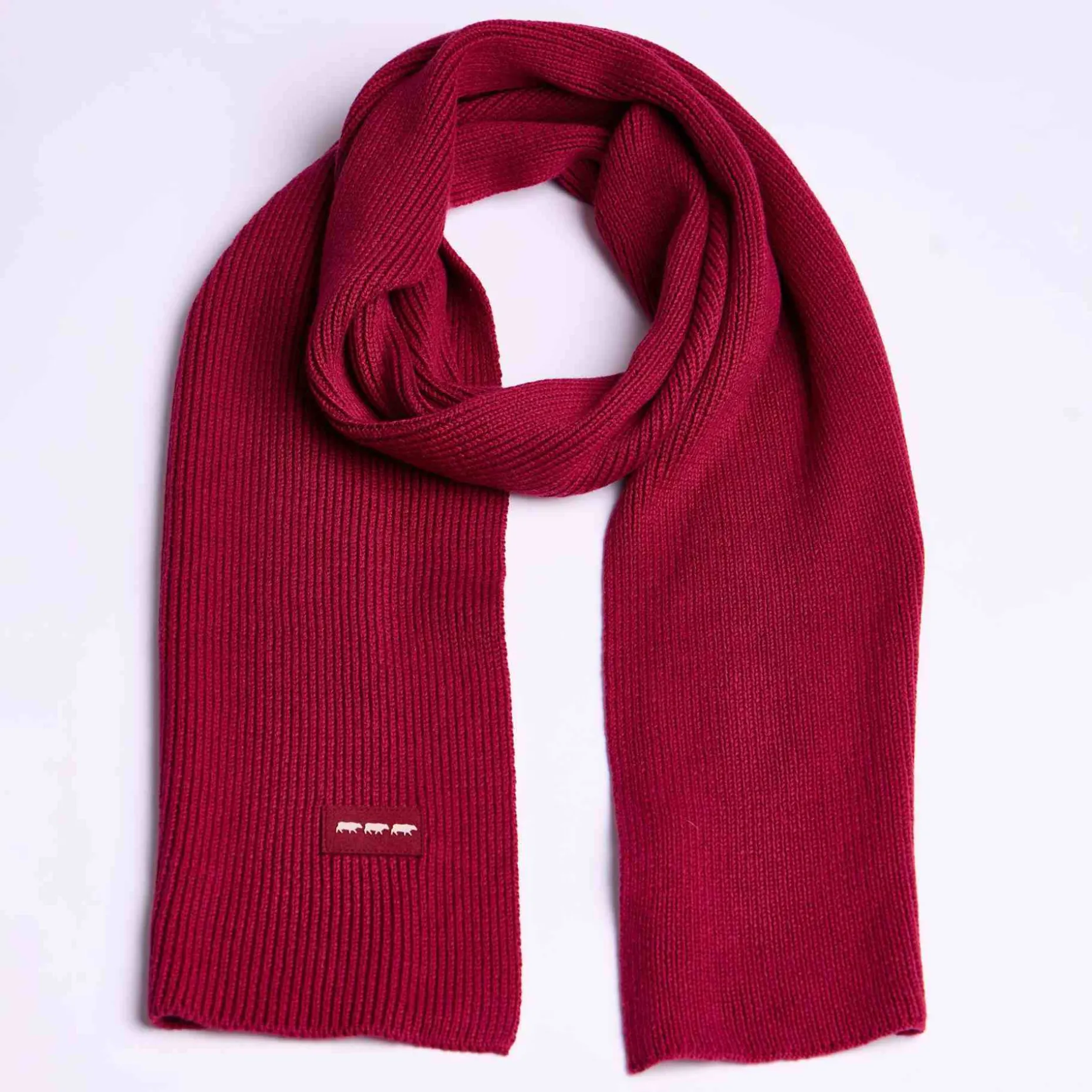 Homme Mise Au Green Écharpe unie en tricot