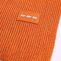 Homme Mise Au Green Écharpe unie en tricot