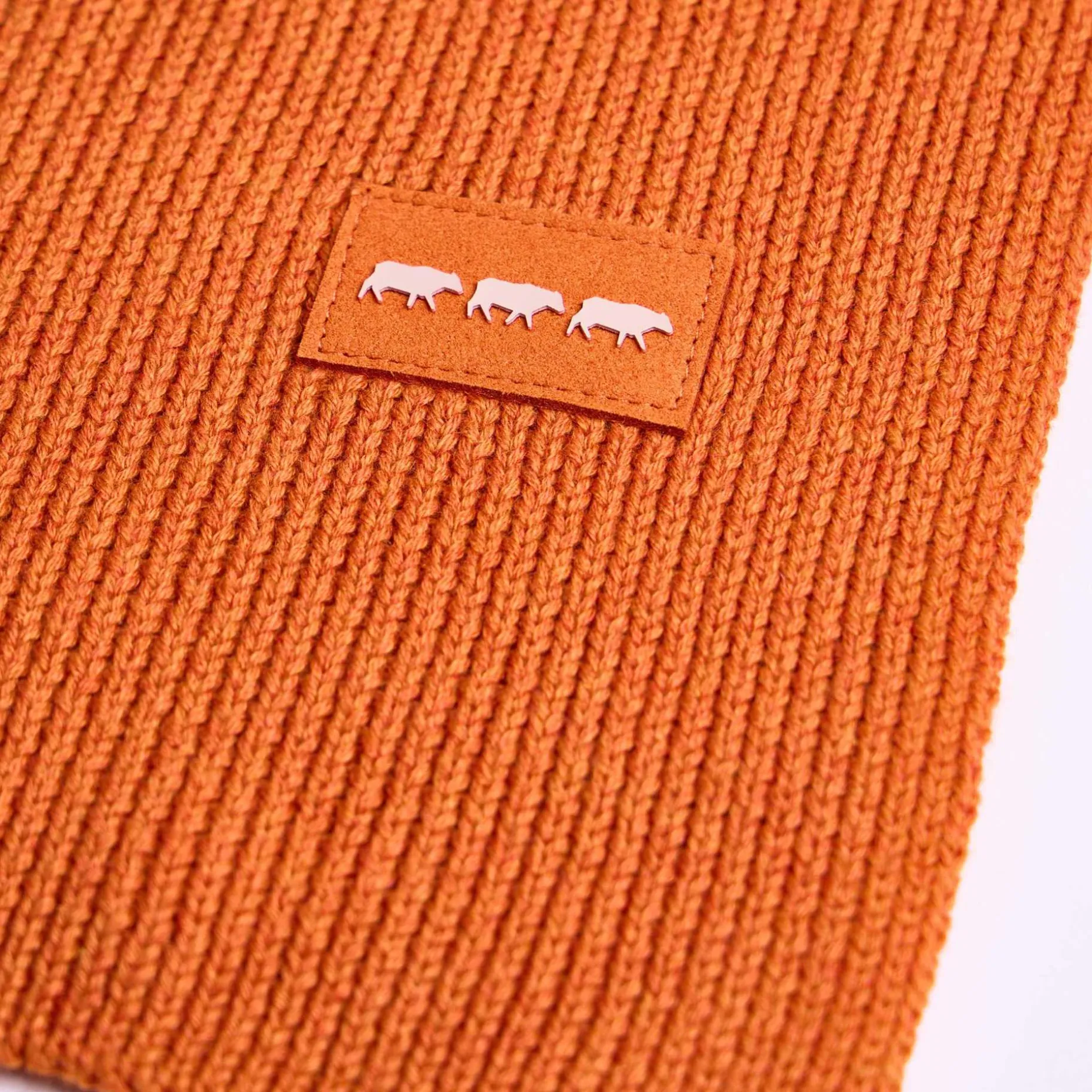 Homme Mise Au Green Écharpe unie en tricot