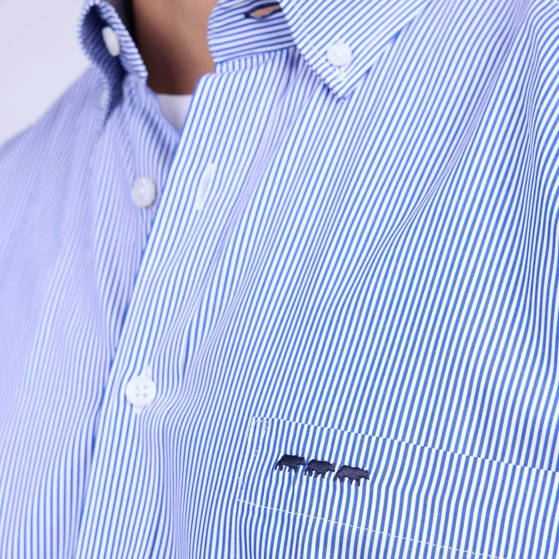 Homme Mise Au Green Chemise à fines rayures rayures bleu