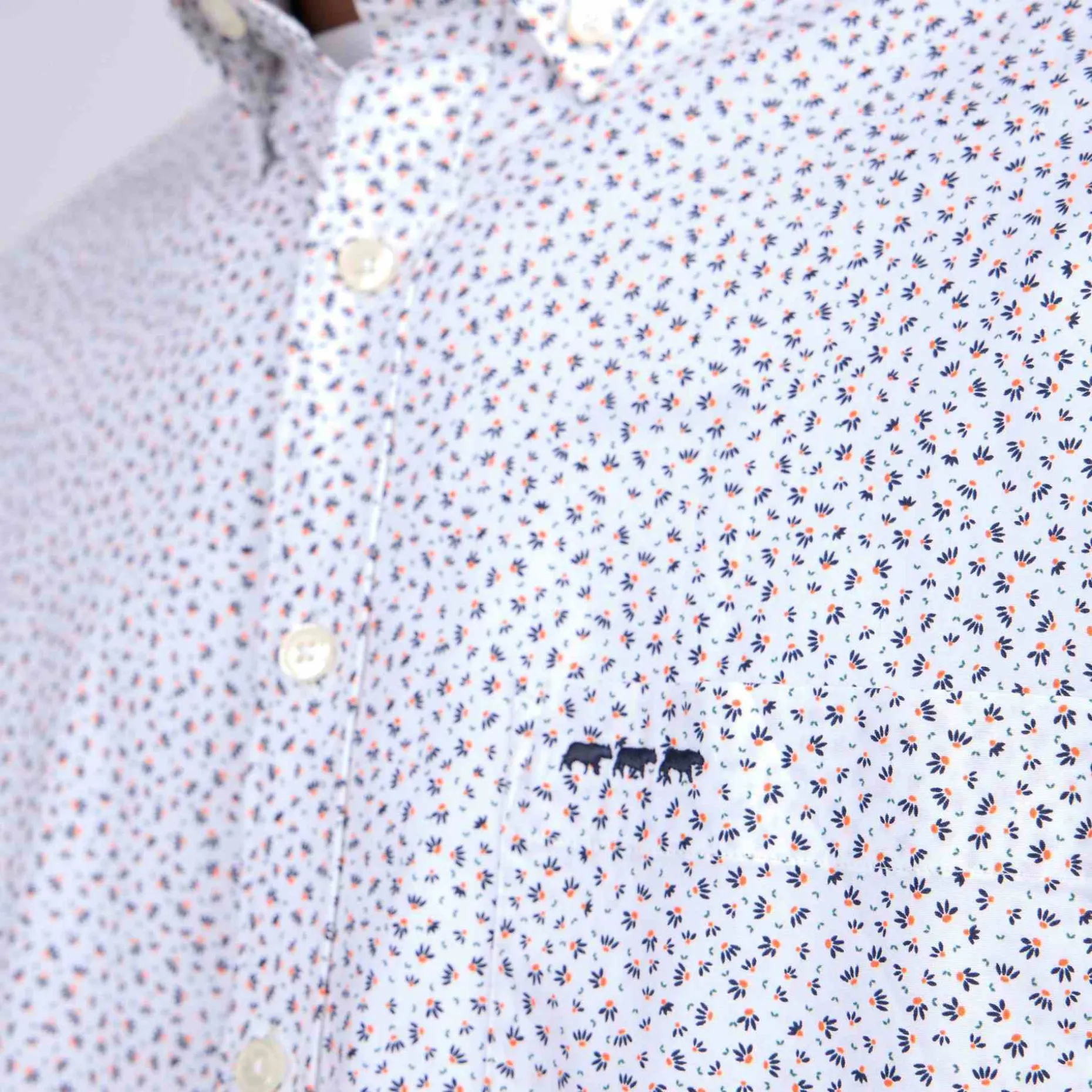 Homme Mise Au Green Chemise Cactus