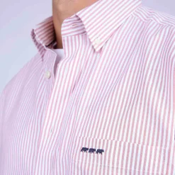 Homme Mise Au Green Chemise rayée