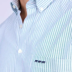 Homme Mise Au Green Chemise rayée