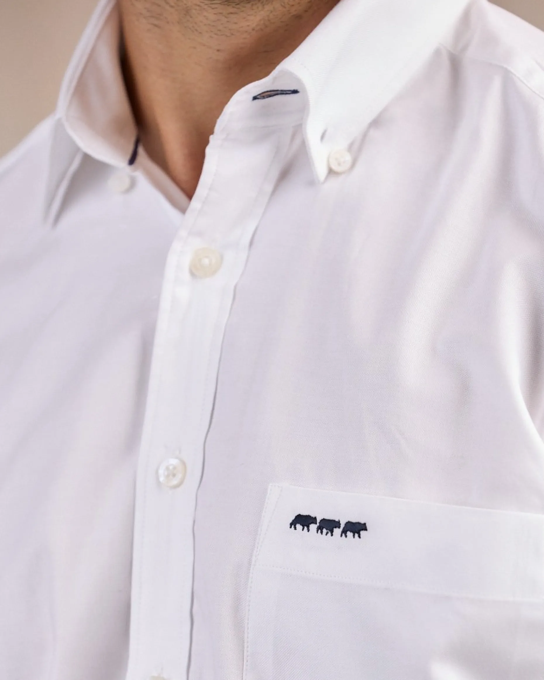 Homme Mise Au Green Chemise unie