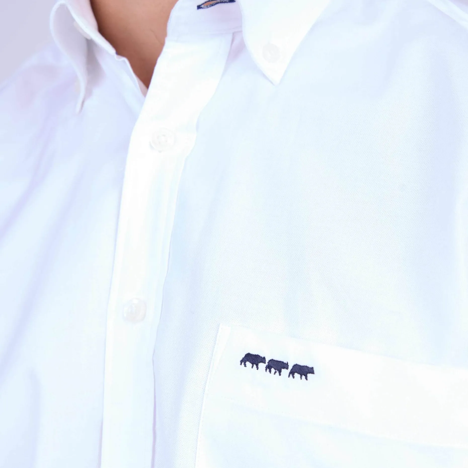 Homme Mise Au Green Chemise unie