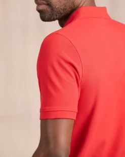 Homme Mise Au Green Polo Douglas