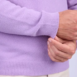 Homme Mise Au Green Pull Cassis