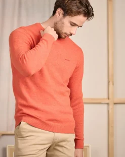 Homme Mise Au Green Pull Cassis