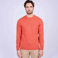 Homme Mise Au Green Pull Cassis