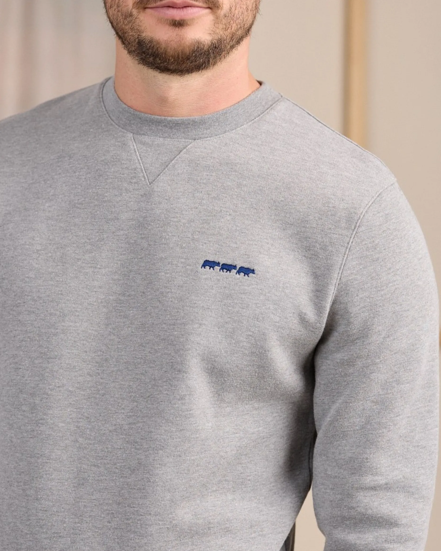 Homme Mise Au Green Sweat uni gris chiné