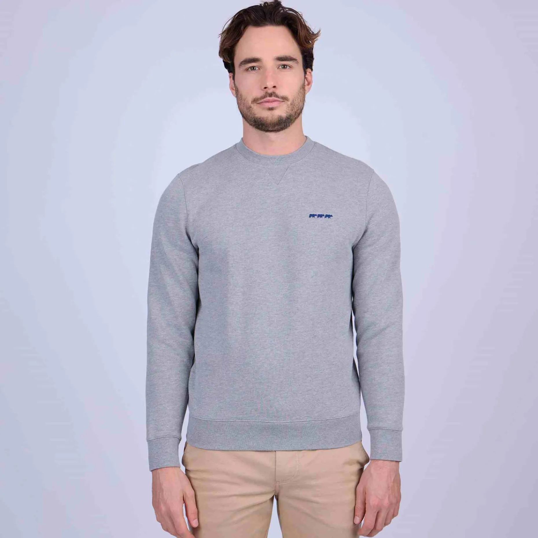 Homme Mise Au Green Sweat uni gris chiné