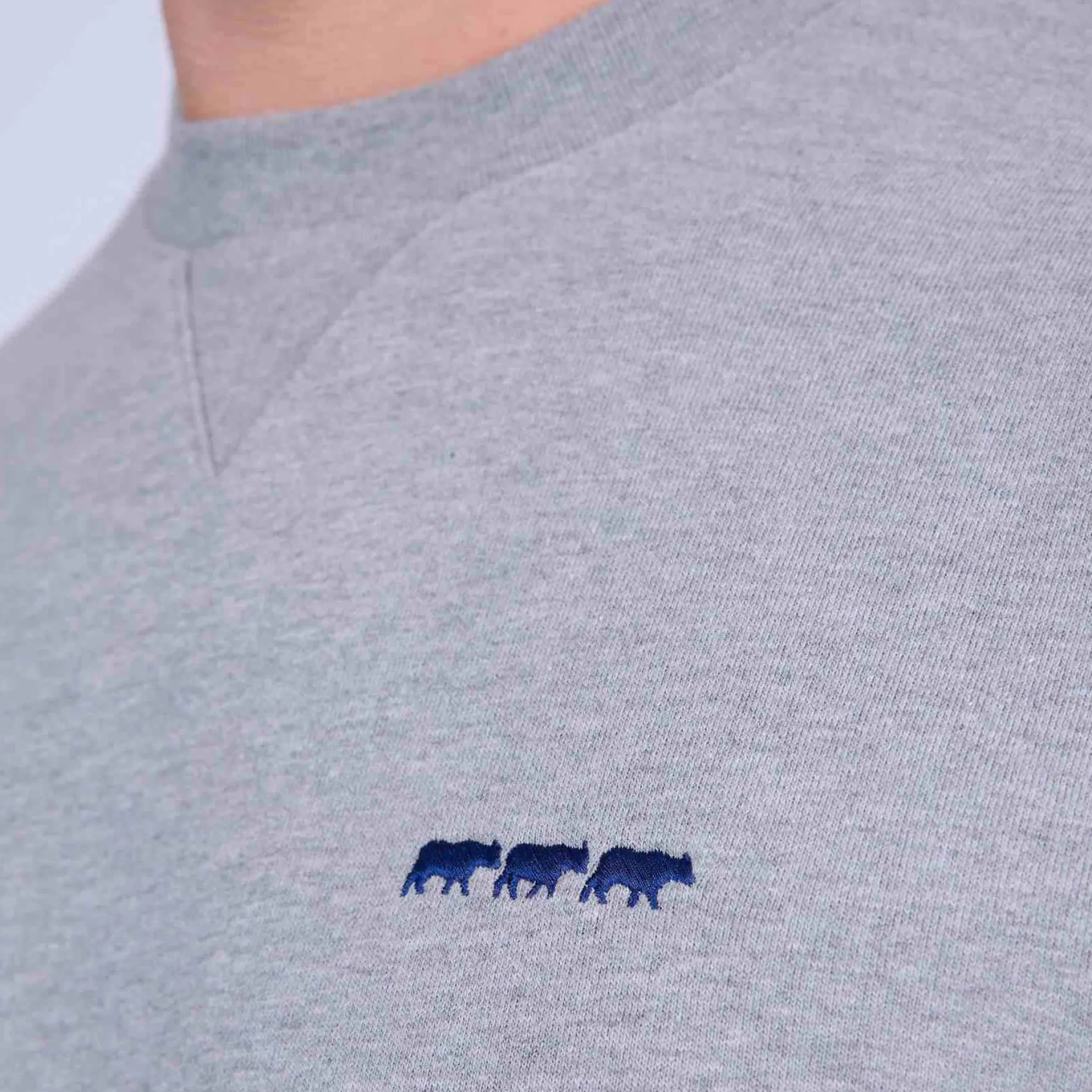 Homme Mise Au Green Sweat uni gris chiné